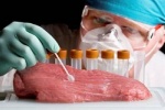 РАН вплотную займётся селекцией РАН вплотную займётся селекцией